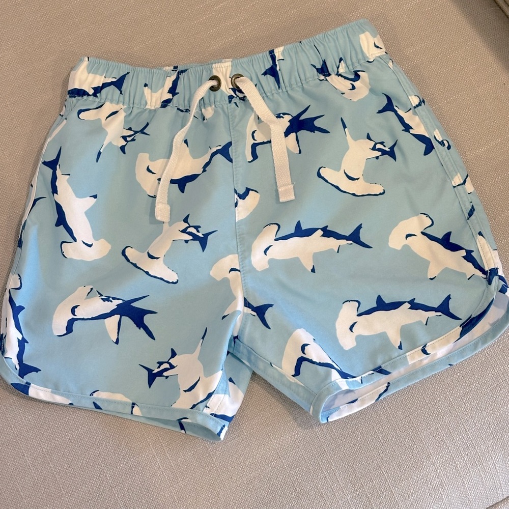 Hanna Andersson Toddler Boy Swim Trunk
